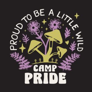 anonimostory.com_Instagram_camppride__3667190081443440988_62829942183